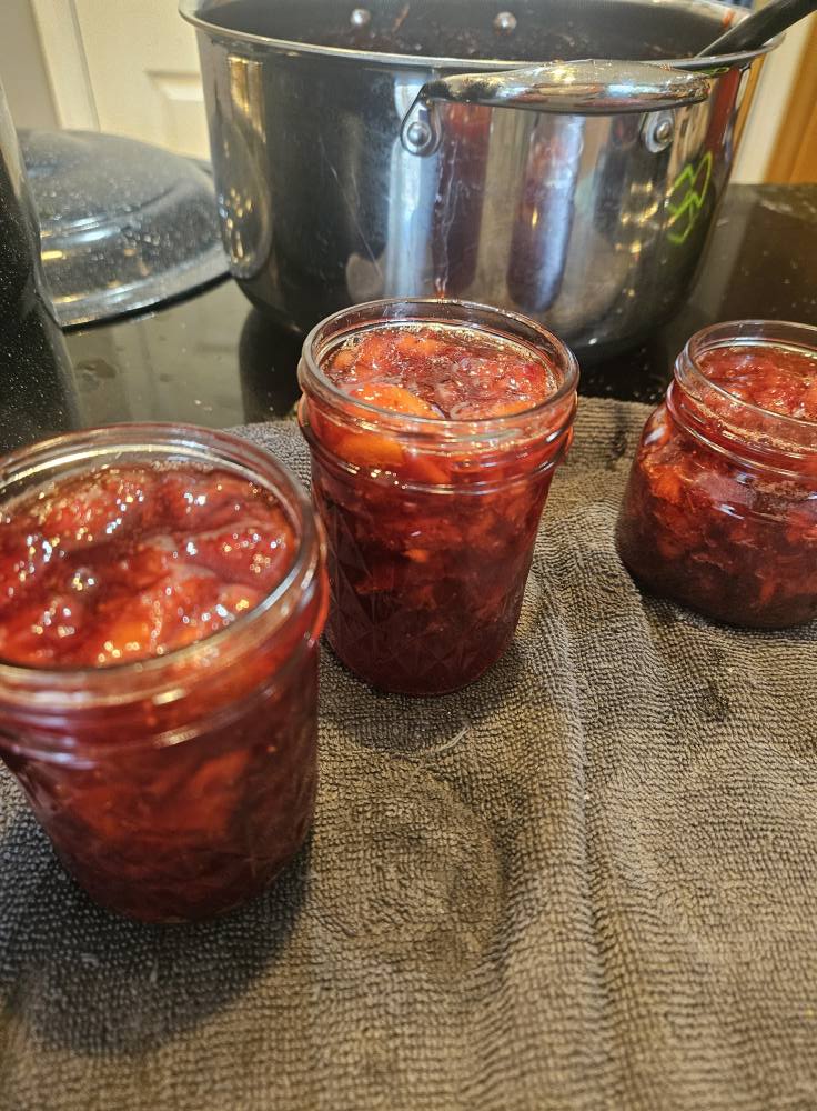 Strawberry Jam Melissa Thomforde Organic Strawberry Jam - Image 1